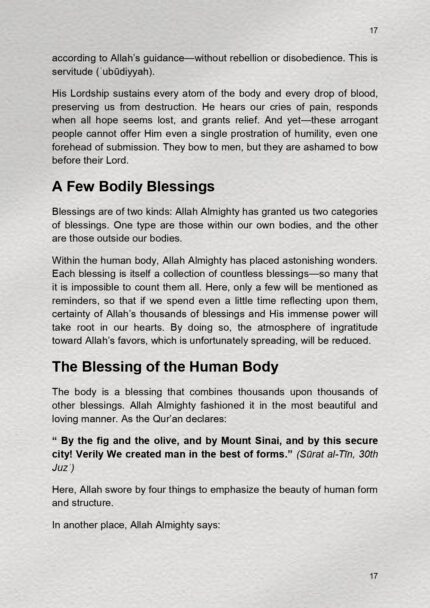 The Love of Allah_page-0018